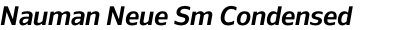 Nauman Neue Sm Condensed Semi Bold Italic